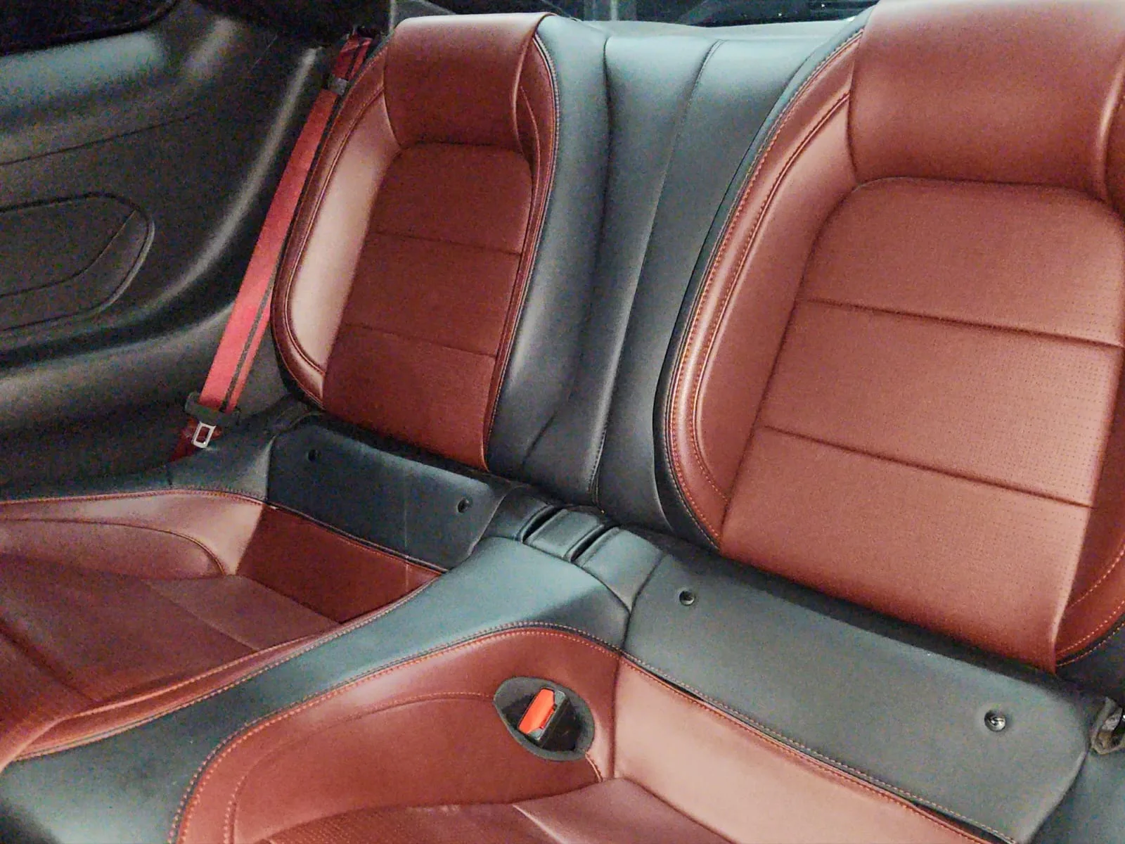 Imagen 16