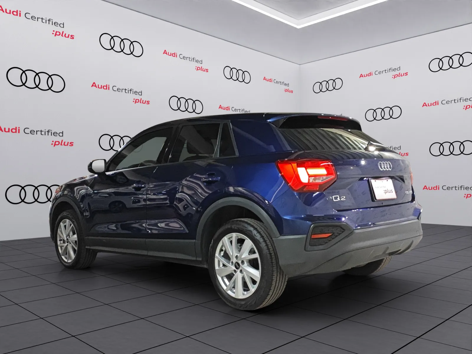 Imagen 5